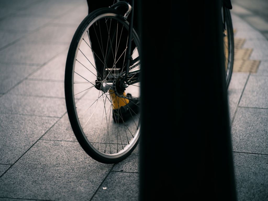 黄茶色との邂逅