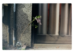 Objet