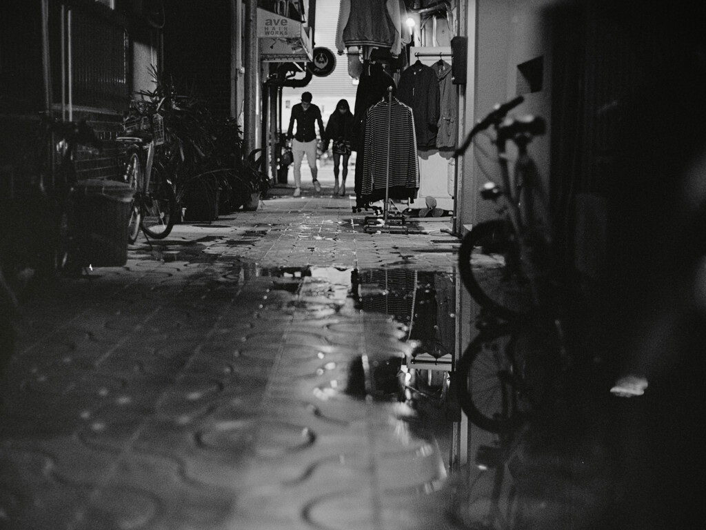 時雨あと / wandering