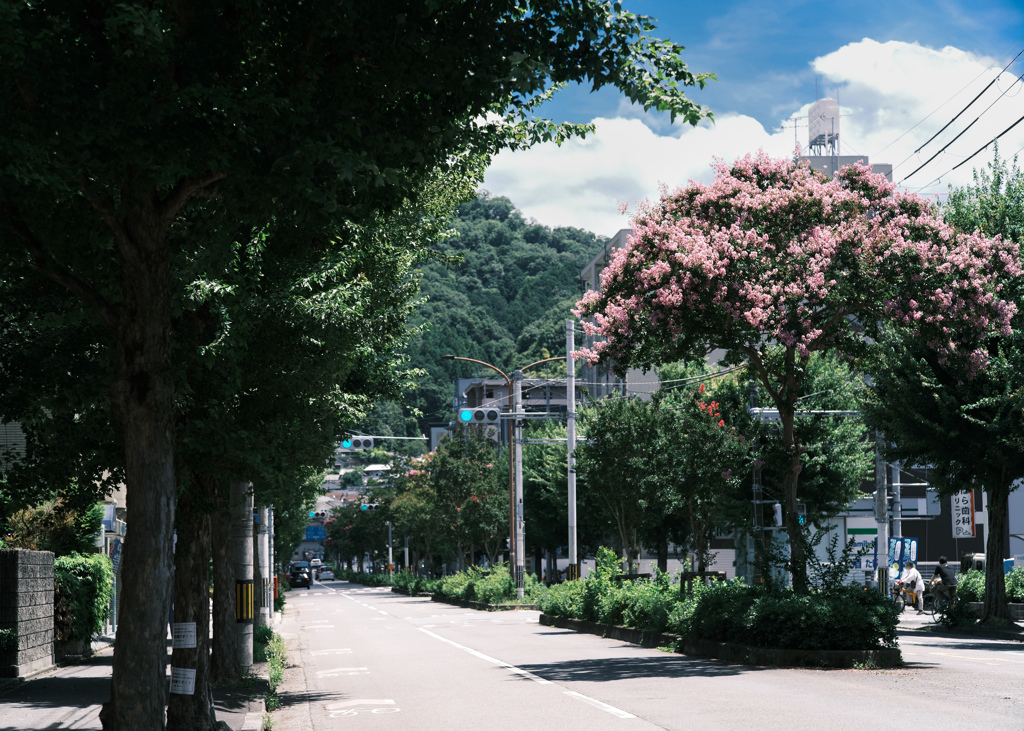 summer light