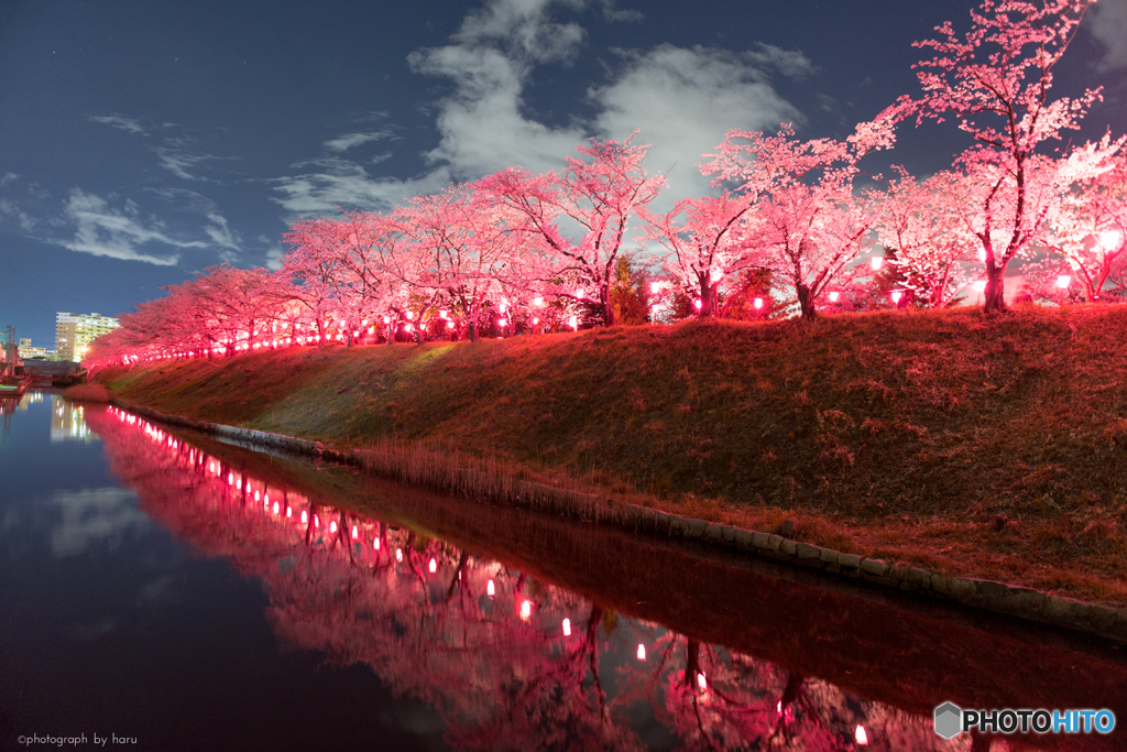 reflection