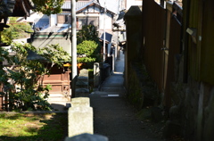 尾道　猫の細道