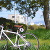 自転車と緑