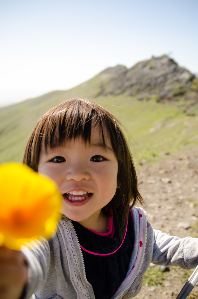 お父さん、お花屋さんね