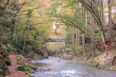 池田の秋