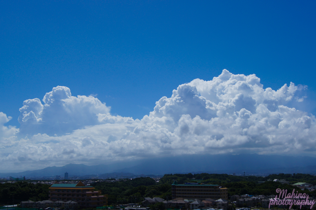 夏