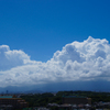 夏
