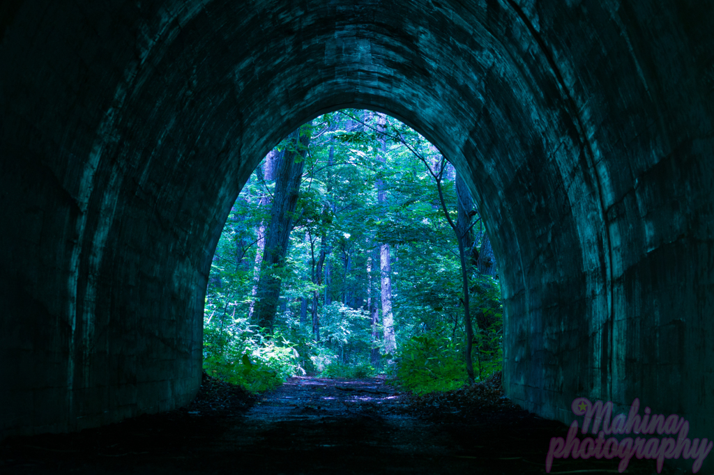 森の中のトンネル