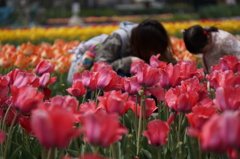 「ねぇ、ねぇ、見て、見てぇ～」「なに、なにぃ～」