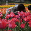 「ねぇ、ねぇ、見て、見てぇ～」「なに、なにぃ～」