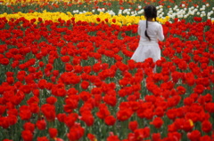 花の女王？