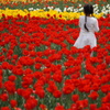 花の女王？