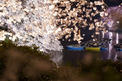 ボートも一仕事終えて、お花見中！