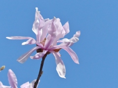 for you