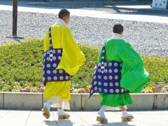 お坊さんも春色