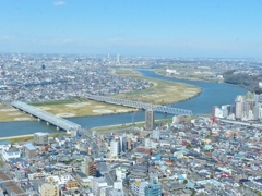 江戸川