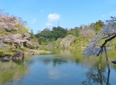 成田山の春