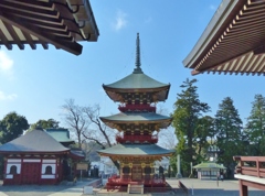 成田山新勝寺の三重の塔