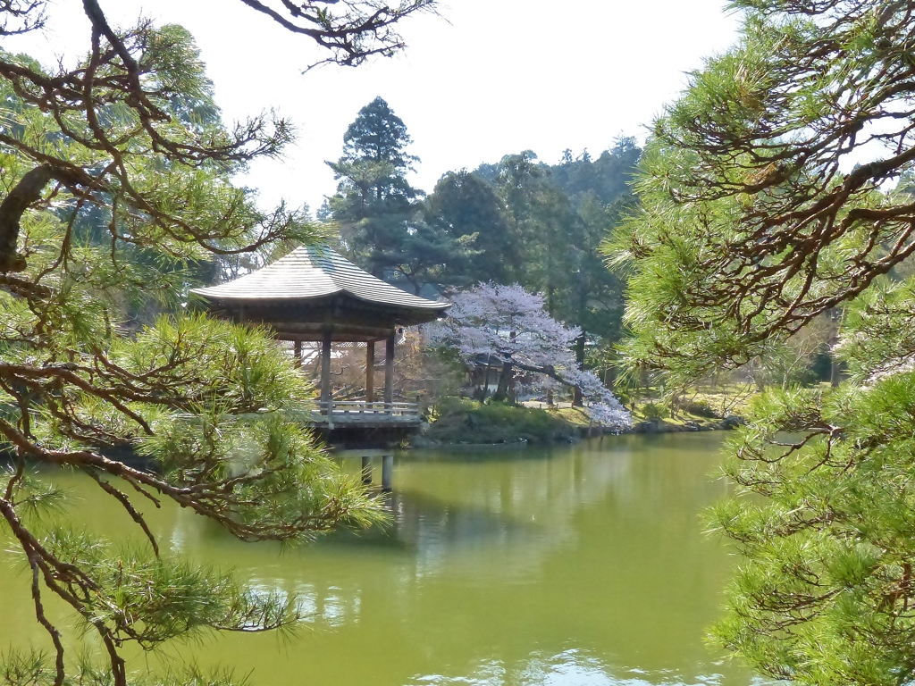 成田公園の春２