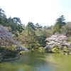 成田公園の春