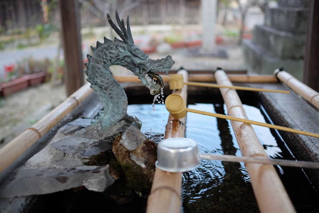 龍さん