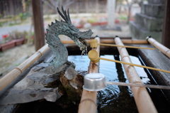龍さん