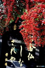 天神散策1