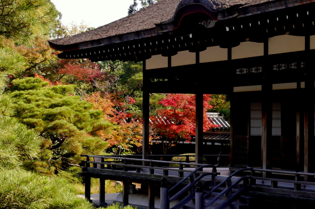 仁和寺