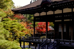 仁和寺