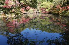 秋晴れ水鏡