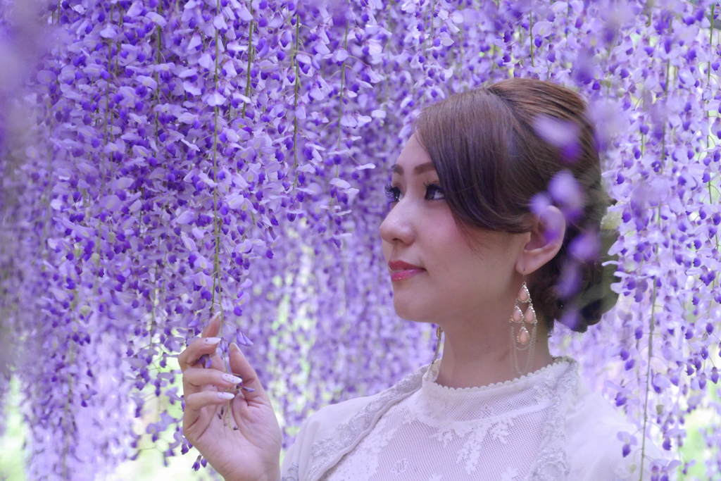 藤美人