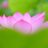 包み込むように