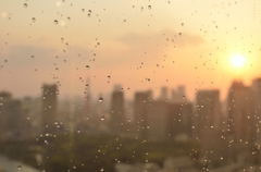 雨上がり