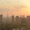 雨上がり
