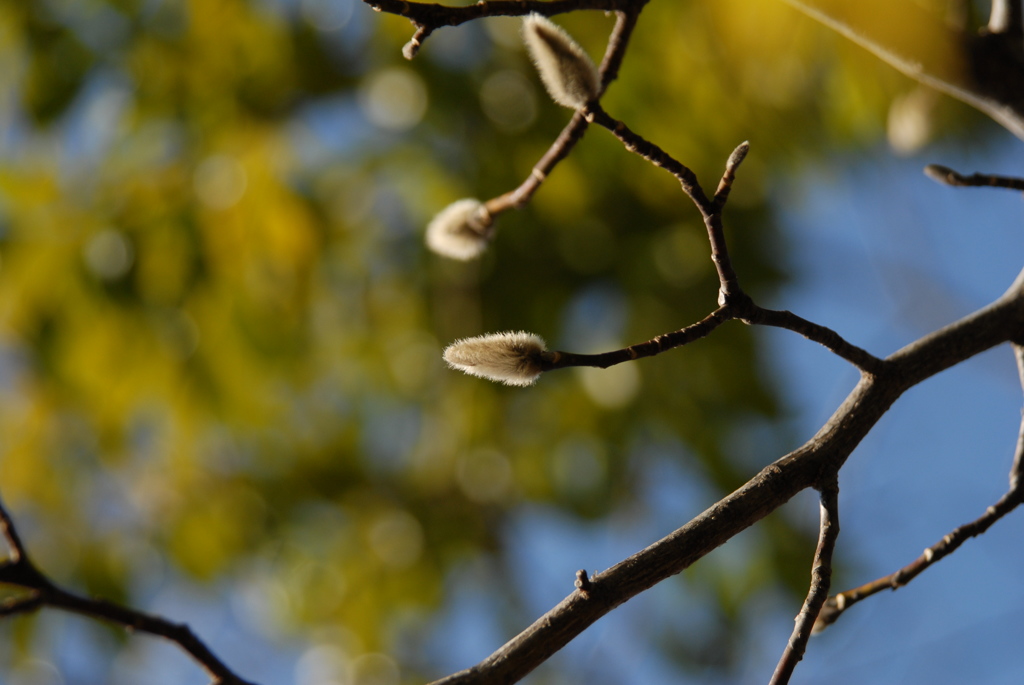 DSCN_5740