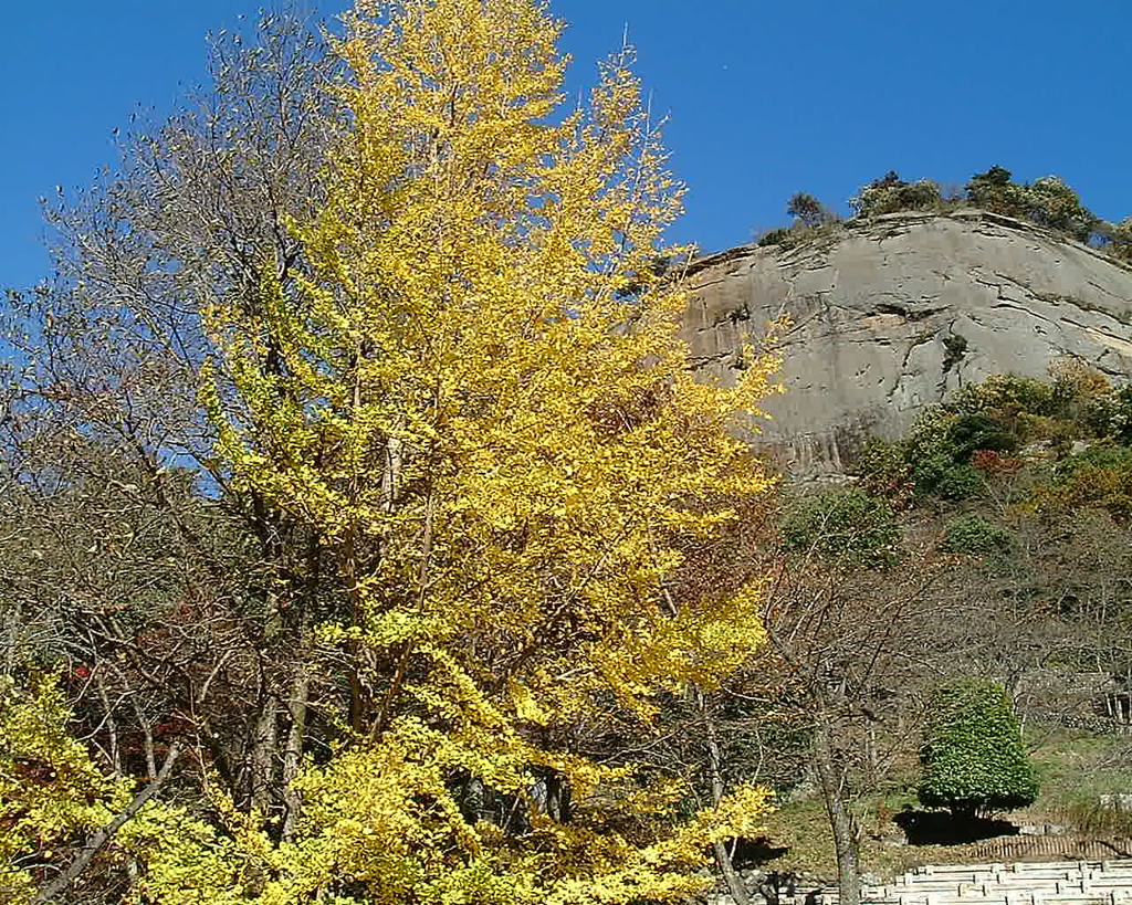 DSCF0034