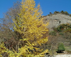 DSCF0034