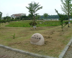 DSCF0033