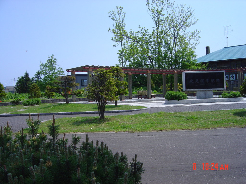 DSC00210
