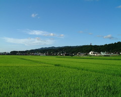 DSCF0131