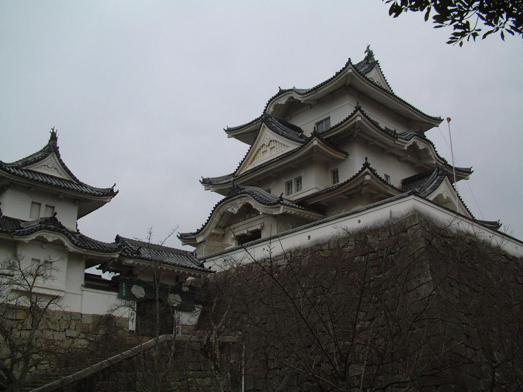 DSCF0184