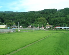 DSCF0109