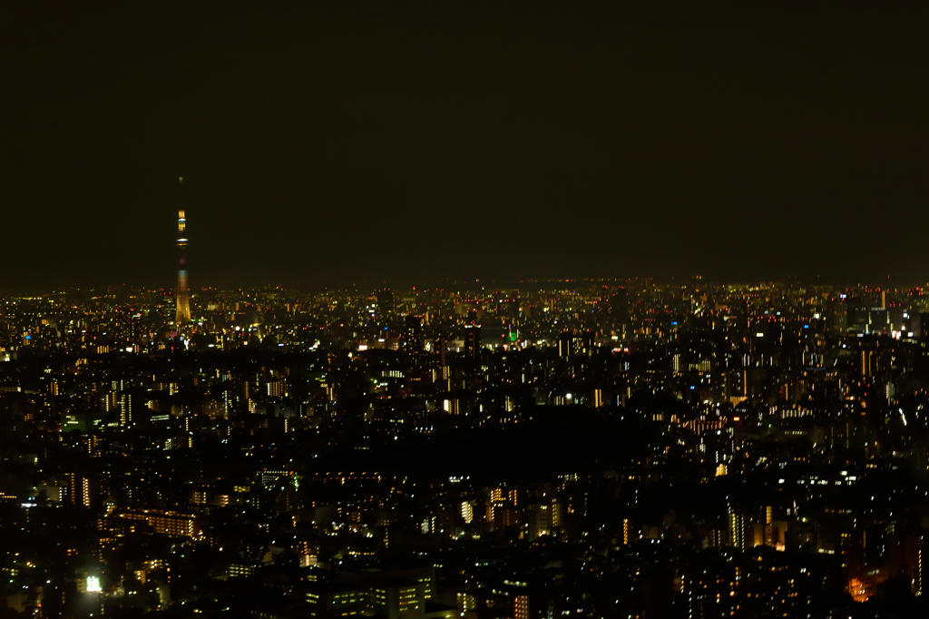 手持ち夜景