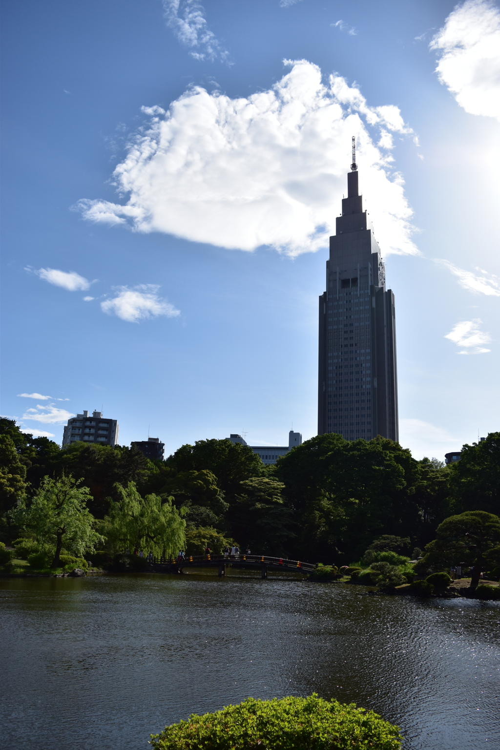 新宿御苑の池とNTTdocomoビル
