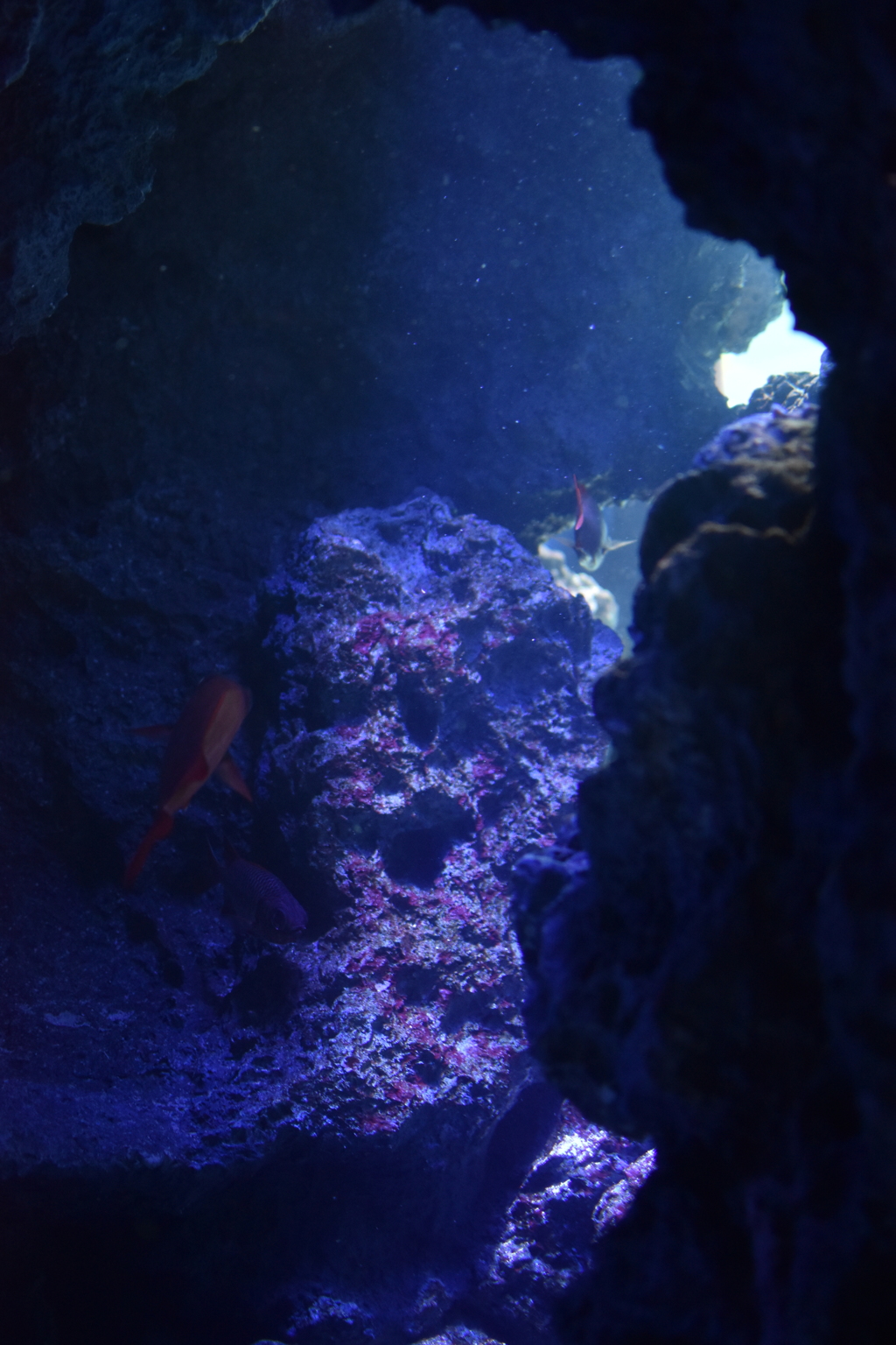 Deep Blue