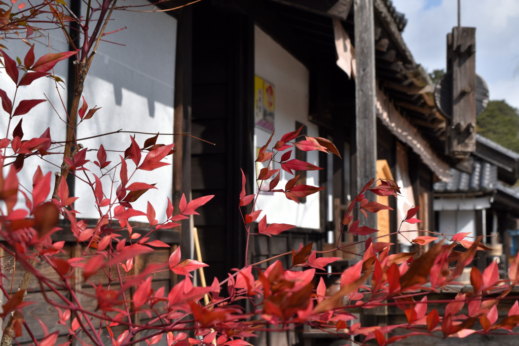 日光江戸村