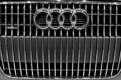 Audi Single frame grill