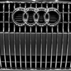 Audi Single frame grill