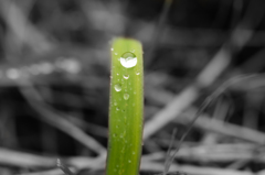 雨の日に輝くもの