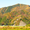 秋色の山